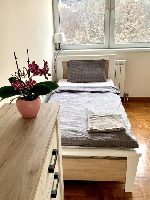 Sunkissed Apartment Belgrado Exterior foto